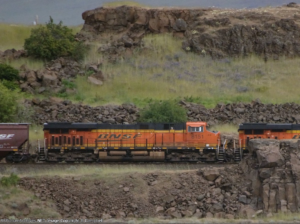 BNSF 8151